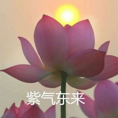 战警帝国手机版(暂未上线)v1.2.0 安卓版